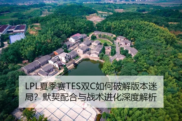 LPL夏季赛TES双C如何破解版本迷局？默契配合与战术进化深度解析